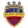 弗林特城